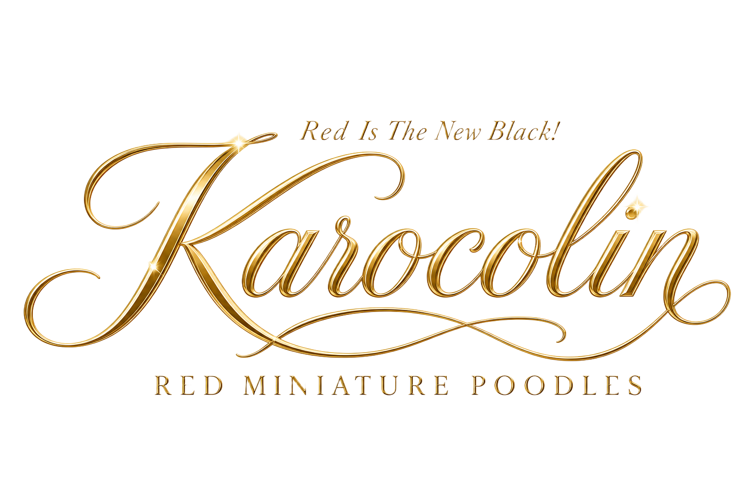 Karocolin — Red Miniature Poodles